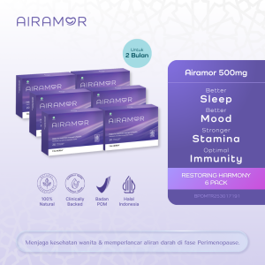 Airamor Restoring Harmony 6 Pack