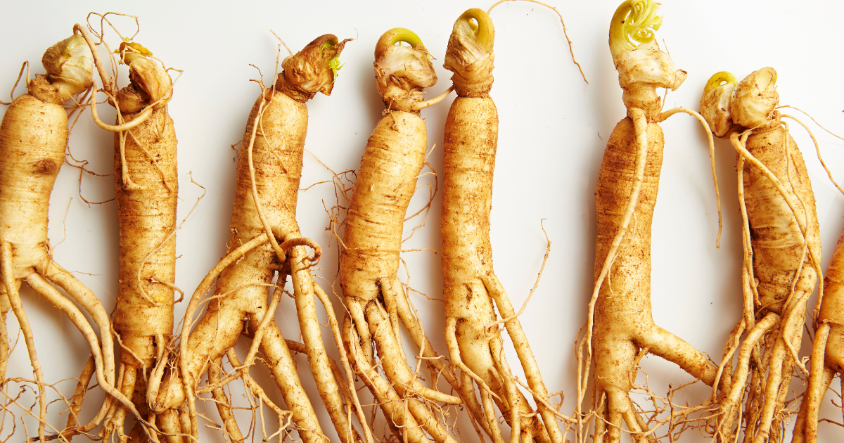 Read more about the article Fakta Tentang Ginseng yang Diungkap Sains Modern